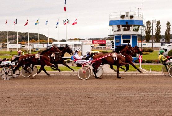 Kronos 2 Peek s Ture 3 Prima Eagle 2 Prince Orlando 1 Raccroc 1 Rani du Sap 5 Rojales 5 Roly Poly 5 Ruccola 5 Sir Armani 3 Slide to Third 1 Super Laroy 4 Supreme