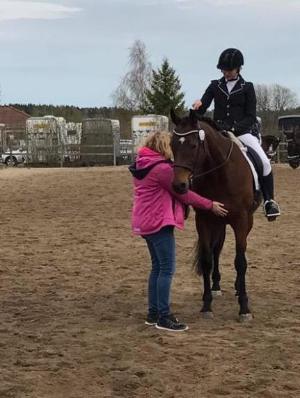 TÄVLINGSVERKSAMHETEN Uppsala Dressyrsällskap har under 2017 anordnat en regional och en lokal dressyrtävling samt ett klubbmästerskap.