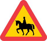 I år valde vi att i stället för maskeradtävling anordna ett KM med direkt feedback från domaren, vilket var väldigt uppskattat.