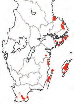 År 2003 redovisade Ebbe Zachrisson och hans medarbetare resultatet av noggranna inventeringar av skogskornets förekomster i östra Uppland.