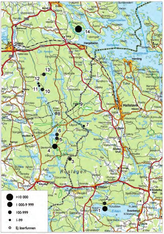 figur 2. Skogskornslokaler i östra Uppland 2012. Cirklarnas storlek indikerar antalet axbärande strån. Lantmäteriverket Gävle 2003. Medgivande M2003/5356. Modifierad efter Bergström m.fl. 2003. Sites with Hordelymus europaeus in eastern Uppland.