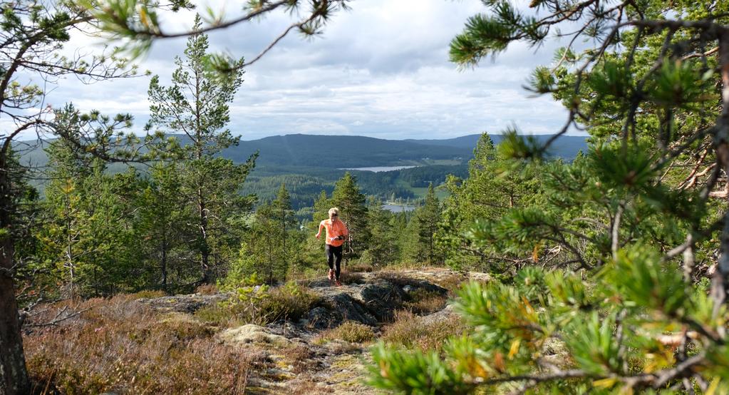 Mediaguide Välkommen till Örnsköldsvik i Höga Kusten och 2018!