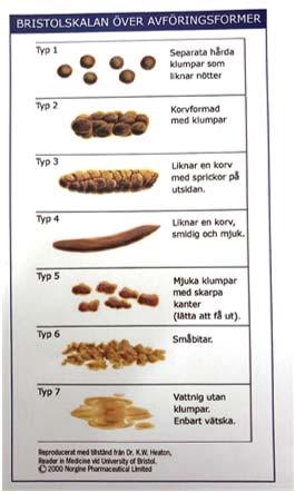 Symtom förstoppning Smärta i magen Smärta vid tarmtömning Avföringsläckage Beteendeförändring: irritation, aggression m.