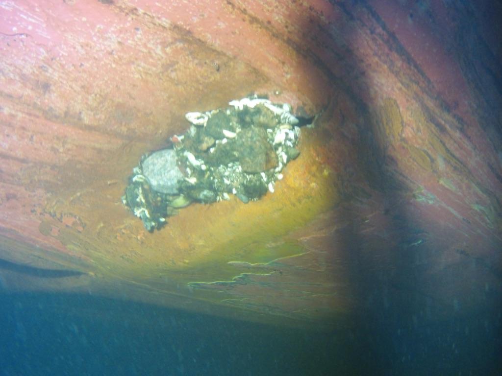 Figur 8. Dykbild från bottenundersökningen av ASKÖ. Bild: Haartmann reederei.