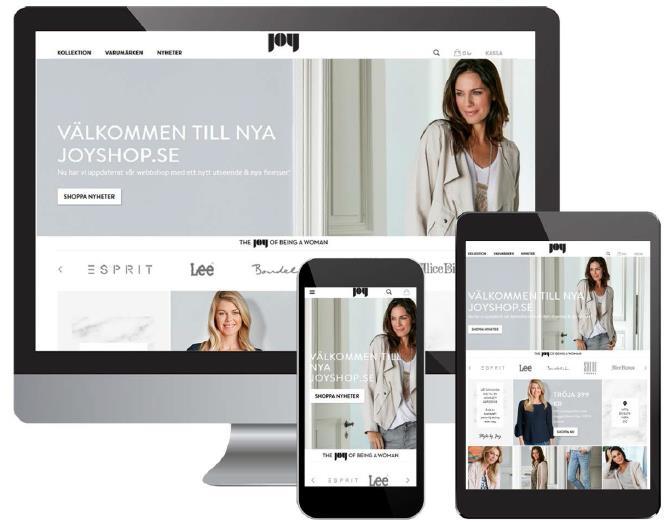 UTVECKLINGSARBETE FÖR ATT MÖTA EN