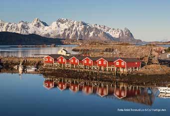 Vi börjar resan med att fiska Kungskrabbor i Kirkenes och i Tromsø får vi uppleva en stämningsfull midnattskonsert i Ishavskatedralen.