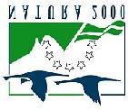 500 Meters S:1 1 Bromossen 1:13 1 Båsetjärnet 1:13 2 BÅSANE Rörmyren