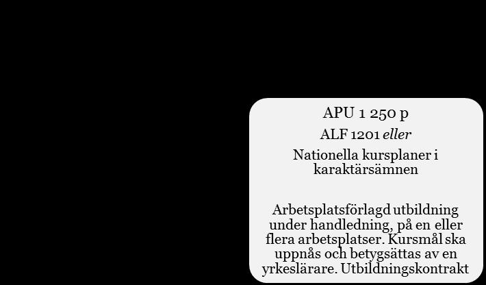 Den gymnasiala
