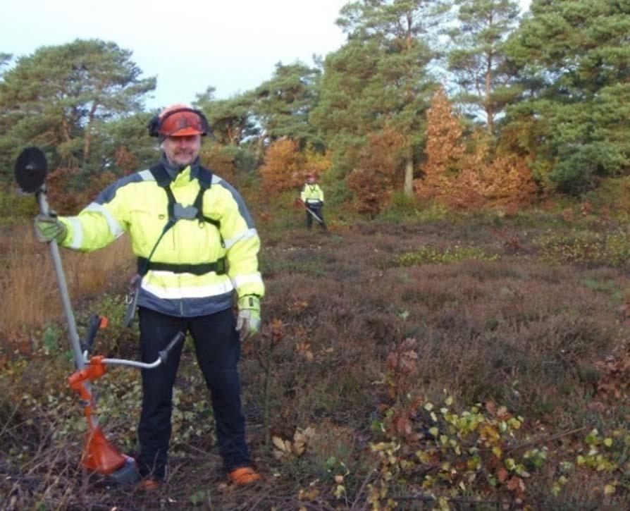 Naturvårdsverket Swedish