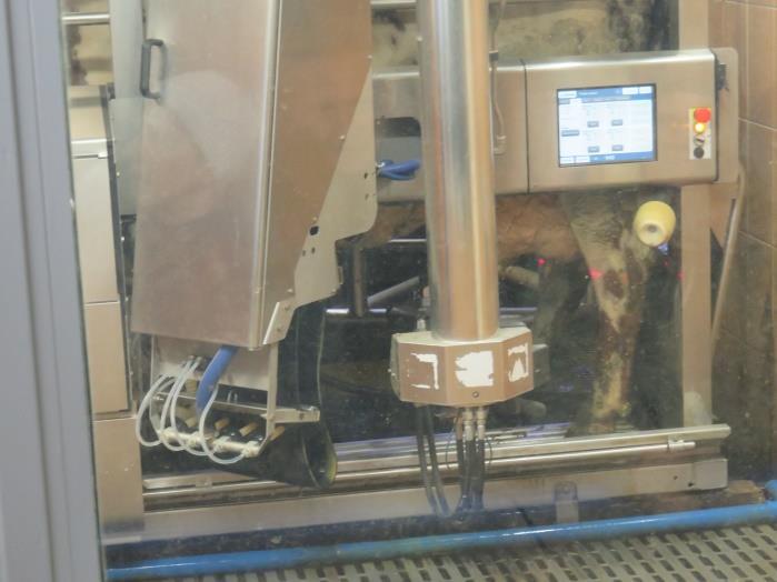 Efter denna genomgång var det sedan dags att besöka mjölkningsanläggningen i VMS (Voluntary Milking