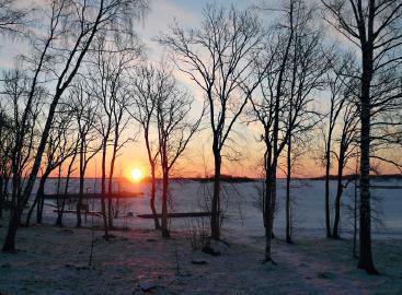 ax + Brändö rådgivning, Brändö by +358 (0)18 56 115 Öppet: må-to 8-16, fre 8-14, telefontid 9-11 i