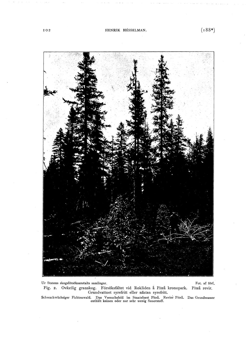 102 HENRIK HESSELMAN. (I 88*) Ur Statens skgsförsöksanstats samingar. Ft. af förf, Fig. 2. Oväxtig granskg. Försöksfätet vid Rkiden ~ Piteå krnpark. Piteå revir.