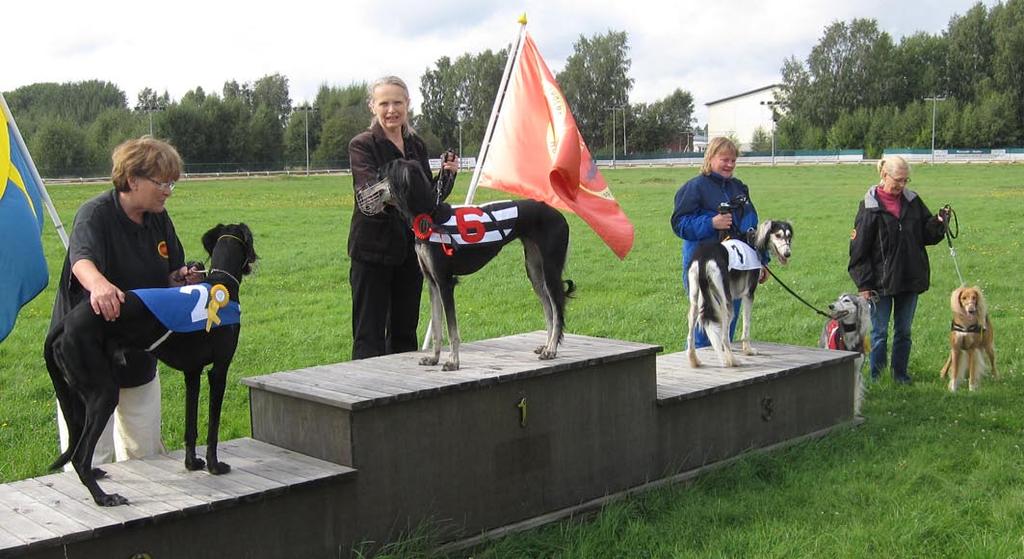 06 och trean Toxic Tea Fairy, 33.09. Nästa semi vann Tyrannosauros, Mona Augustsson, SHS, 32.63, tvåa Run Den 22/8 var det ett Salukilopp. Fr. v. 2:a Amir, Gerd Andersson, SHS, handler Minnea Hulting, 1:a Amina, Gerg Andersson, SHS, trea Setareh, Sari Hasa, NHK/Äl.