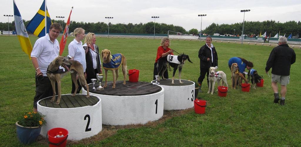 SM i Landskrona SM loppen Solsken, klubbflaggor som vajade i vinden och välkomsttal. Med den inramningen öppnades SM 2009 i Landskrona, lördagen den 18/7. Saluki startade SM med sina två semifinaler.