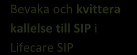 genomföra ntervju med webbkollen Delta och beskrver sna behov på SIP-möte Delta