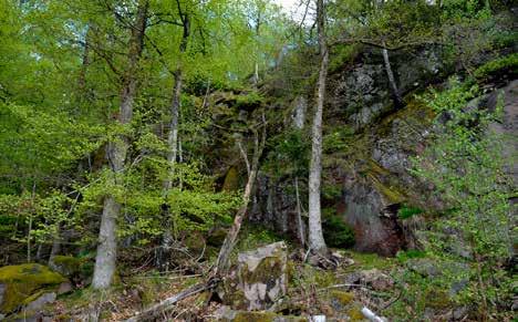 berg- och rasbranter Naturvärden Brant lutande bergsparti, ibland med inslag av lodytor, med rasområden. Oftast obrukade på grund av svåra drivningsförhållanden.
