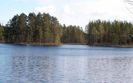 Hänsynskrävande biotoper Hänsynskrävande biotoper är områden med påtagliga naturvärden där hänsyn ska tas för att förhindra eller begränsa skador i och invid biotopen.