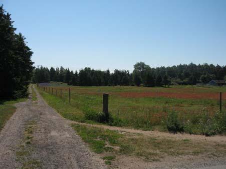 Östra delen av planområdet sett norrifrån från befintlig GC-väg med befintlig väg i fastigheten (s:19) Störningar Den nya detaljplanen genererar för planområdet inledningsvis ca 120 fordonsrörelser