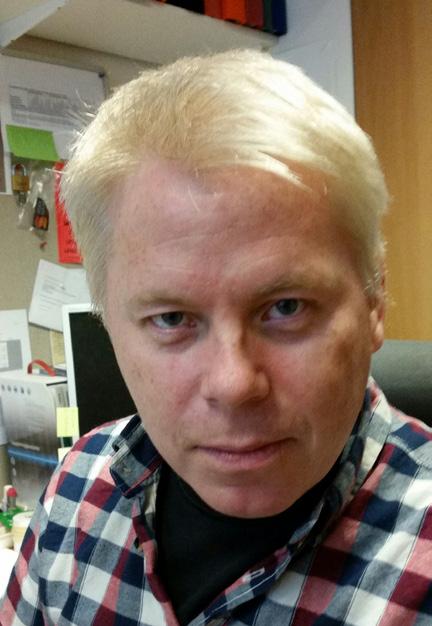 Wilhelmsson Revisorsersättare