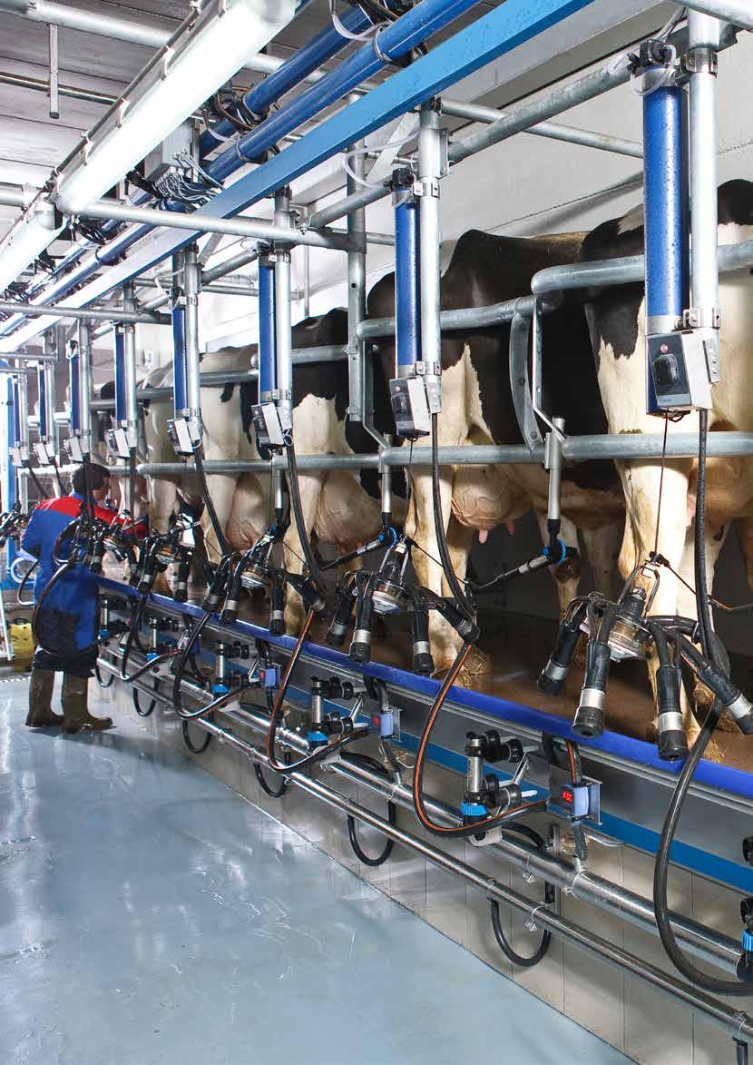 DeLaval fiskbensstall