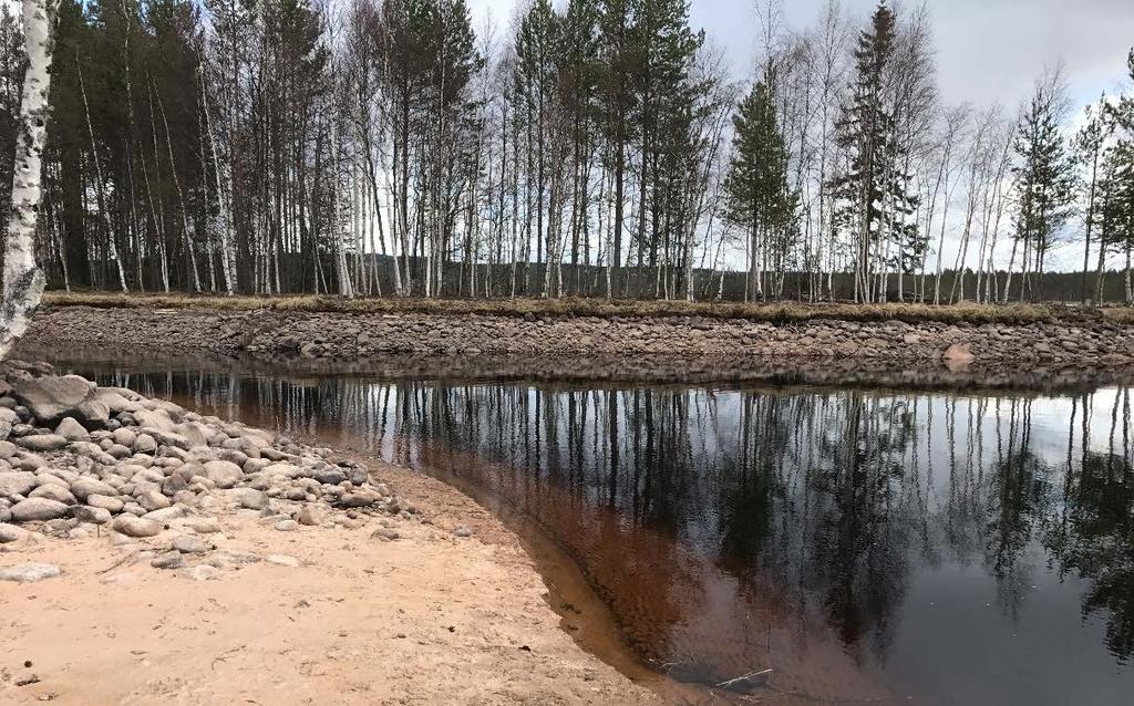 Målsättningen med dessa bedömningar är att särredovisa känslighet och effekter för specifikt korttidsreglering.