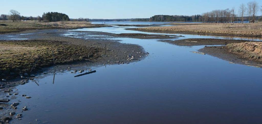 Erosionen under vårflödena har sannolikt minskat, men kunskap om erosionens omfattning och sedimenttransporter längs älven både före och efter årsregleringen är begränsad.