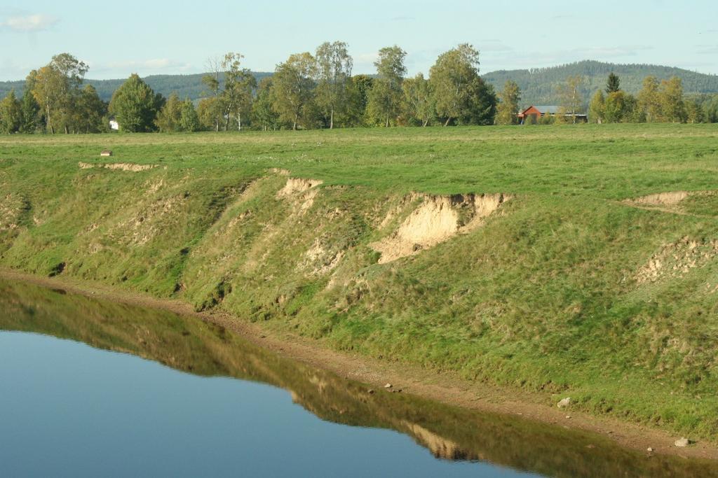 I svämplanen finns vissa naturtyper som är beroende av stabila lågvattenperioder för sin långsiktiga fortlevnad bland annat så kallade ävjebroddssamhällen.