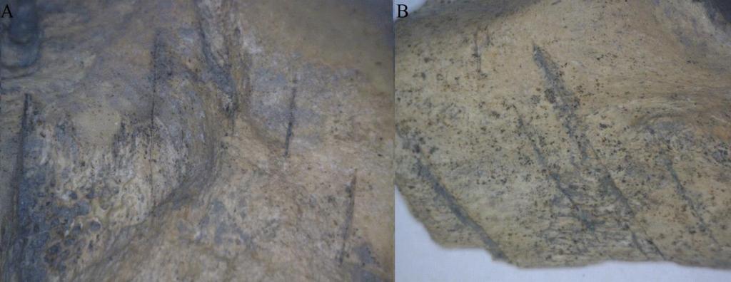2.1.4 Sten- & metall, olika företeelser Figur 24 visar de fragment som blivit utsatta för upprepande skärspår, det vill säga sådana skärspår som kan ha uppstått i samband med varandra, vilket betyder