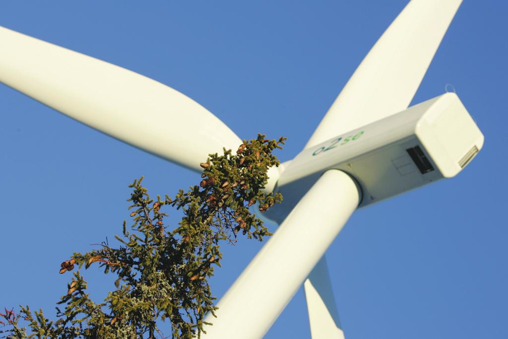 Miljöpåverkan Ett vindkraftverk har en negativ miljöpåverkan när det tillverkas, transporteras, uppförs och även när det demonteras.