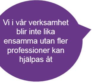 Positiva reflektioner på SIP (Handläggare) Bra att vara med då får vi en helhetsbild Bra