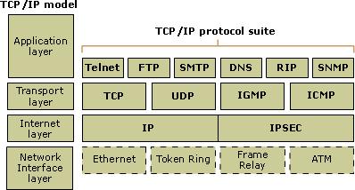 Protokoll i TCP/IP modellen HTTP, Telnet, FTP, TFTP, SNMP, DNS, SMTP, X Windows mm.