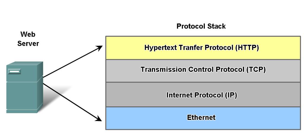 Protokollsamverkan HTTP definierar innehåll och format, inte överföringen. TCP segmenterar HTTP-meddelanden och kontrollerar meddelandets storlek och överföringshastighet.