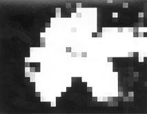 Using special effects Picture effect Använda specialeffekter Bildeffekt You can digitally process images to obtain