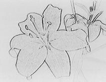 ART [a] : The colour and brightness of the picture are reversed. SEPIA : The picture is sepia.