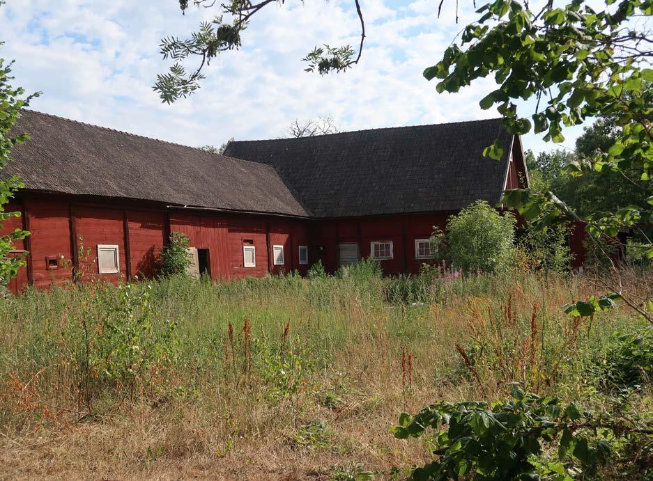 vilket ger orten en agar känsla.