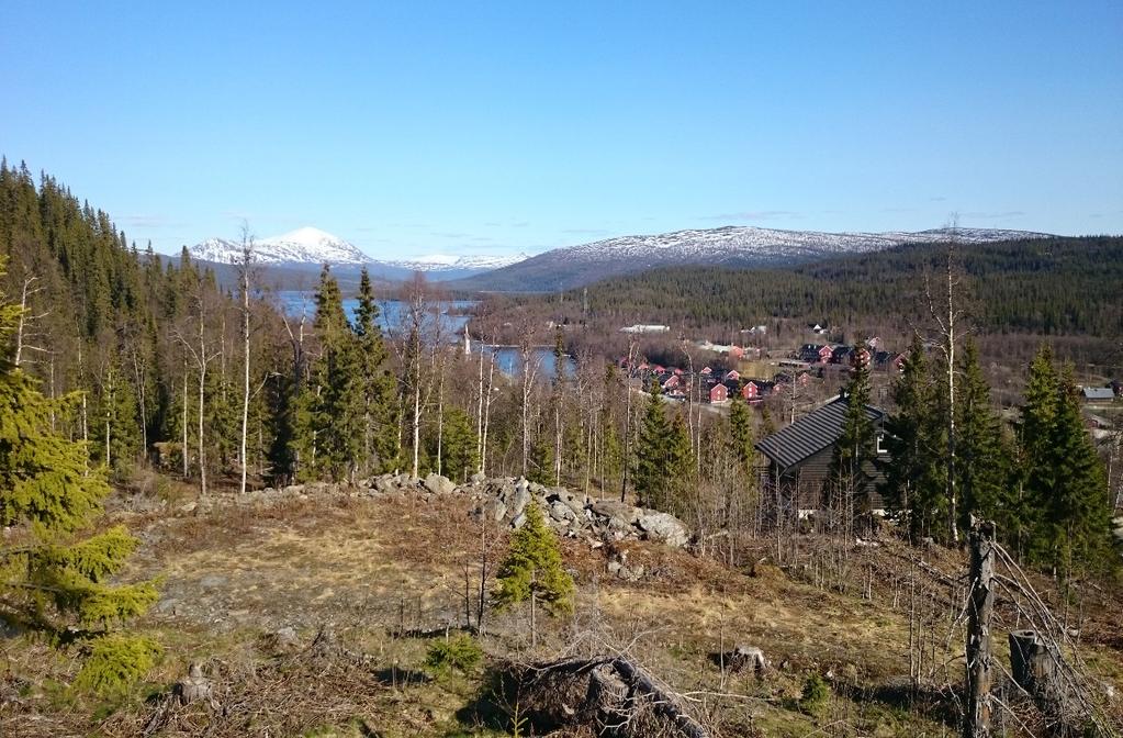 FÖRUTSÄTTNINGAR, FÖRÄNDRINGAR OCH KONSEKVENSER Mark- och vattenområden Natur- och terrängförhållanden Planområdet ligger i en mer eller mindre lutande sydväst sluttning av Laxfjället.