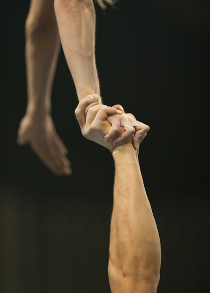 Aktivas representant Inom respektive seniorlandslag utser gymnasterna själva en representant för de aktiva.