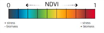 agronom - NDVI kan snabbt ge en status för åkerarean och markera hotspots som skall undersökas: - Inspektion av grödor: