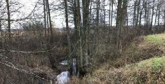 På kyrkogårdssidan föreslås en kontemplativ sittplats