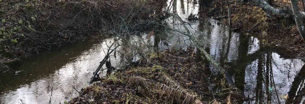 Inom ramen för detaljplaneprocessen har detta fördjupade program tagits fram främst för att belysa hur Siggbobäcken kan utvecklas för att bli en resurs i den nya stadsdelen och hur man på olika sätt