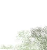 Be ntlig bebyggelse Norra delen Park Ny bebyggelse Södra delen Natur Ny bebyggelse Bäckravinen är ett sammanhållet grönt stråk som löper genom stadsdelen. Ravinen kan också utgöra som en barriär.