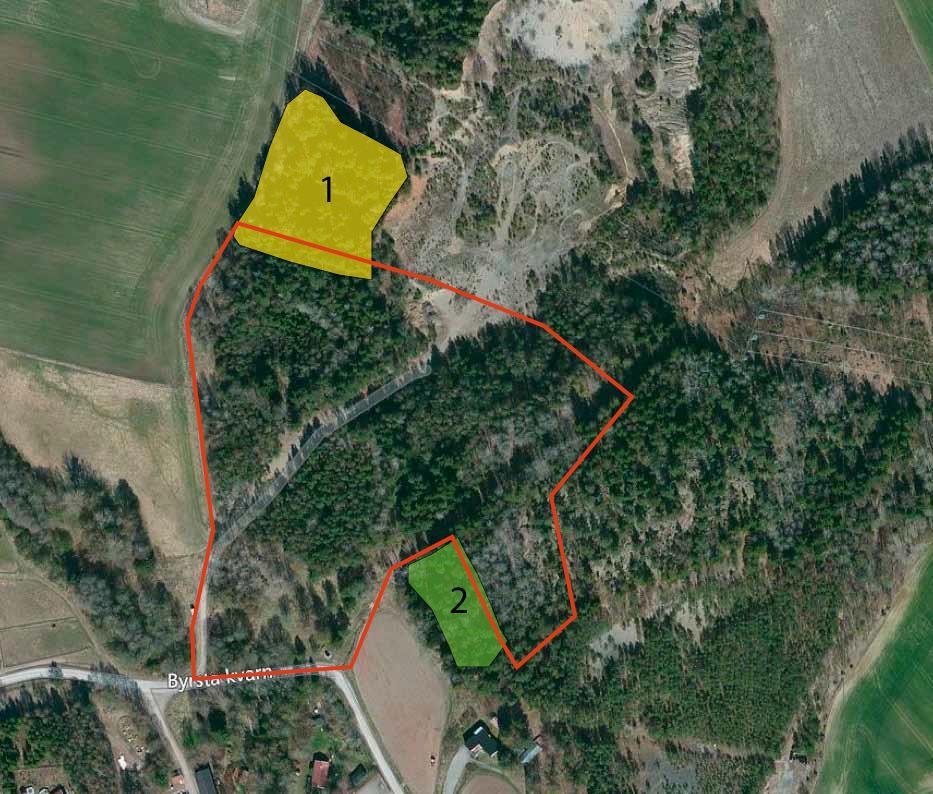 Av inventeringen framgår att undersökningsområdet som helhet inte betingar några höga naturvärden, endast två mindre partier med vissa naturvärden har identifierats som tangerar planområdet (se