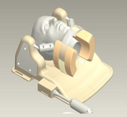 Magnetic Resonance Imaging (MRI) of large