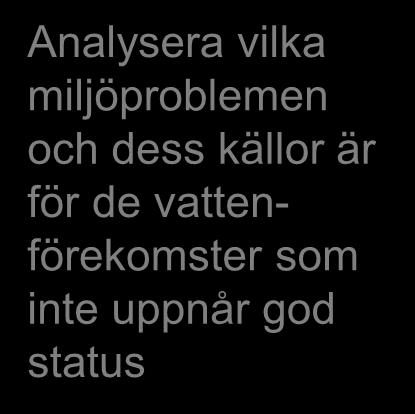 miljöproblemen och dess källor är