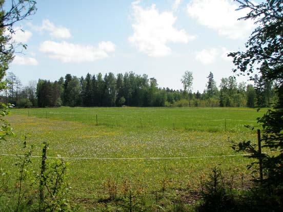 Byggnaden användes ej vid besiktningen och var delvis full med exkrementer.