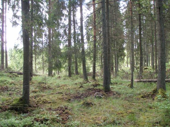 Mantorp 1:1 i Örebro Kommun 9(14) INÄGOMARK Inägomarken bedöms uppgå till ca 32,3 ha varav helaarealen bedöms utgöras av åkermark som delvis används som betesmark.