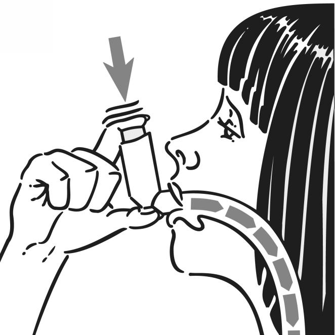 Pediatrisk population Effekten för Airomir för barn < 4 år har ännu inte fastställts, den lägsta effektiva dosen är inte bestämd. Tillgängliga säkerhetsdata finns beskrivet i avsnitt 5.1.
