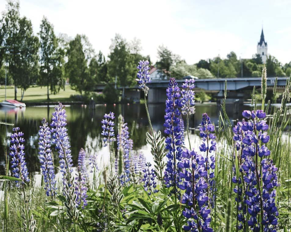 55 Särredovisning av vatten- och avloppsverksamheten Ansvarsområden Vattenförsörjning Avloppsverksamhet Anläggningsarbeten Ekonomiskt resultat Va-verksamhetens resultat i sammanfattning (mkr) 2015