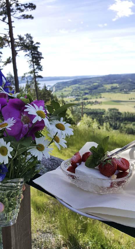94 Valnämnden Ordförande: Morgan Setherberg Chef: Berit Westergren Ansvarsområden Genomföra allmänna val till riksdag, landsting och kommunfullmäktige Genomföra val till Europaparlamentet Genomföra