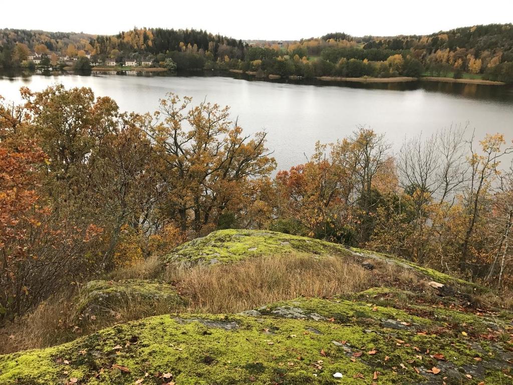 Grap 1784 Dagvattenutredning för fastighet Tullinge